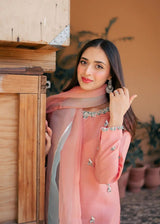 FIRST BLUSH - CLIENT DIARY