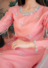 FIRST BLUSH - CLIENT DIARY