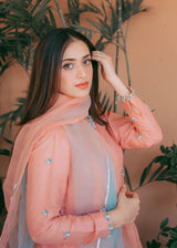 FIRST BLUSH - CLIENT DIARY